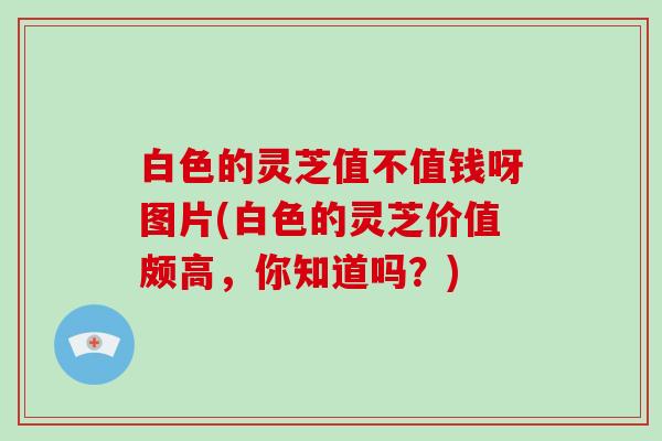 白色的灵芝值不值钱呀图片(白色的灵芝价值颇高,你知道吗?)