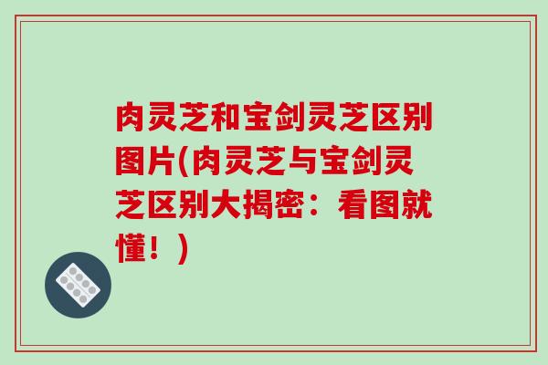 肉灵芝和宝剑灵芝区别图片(肉灵芝与宝剑灵芝区别大揭密：看图就懂！)