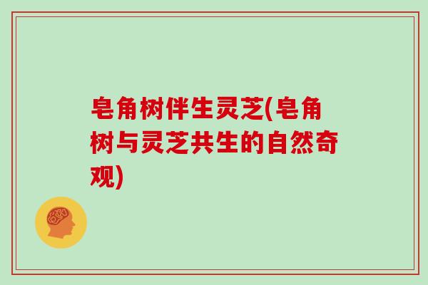 皂角树伴生灵芝(皂角树与灵芝共生的自然奇观)