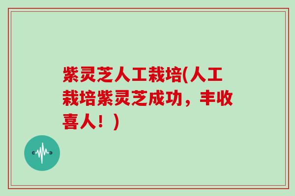 紫灵芝人工栽培(人工栽培紫灵芝成功，丰收喜人！)