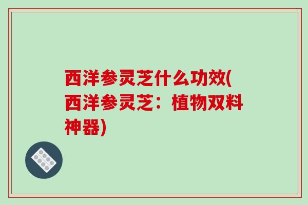西洋参灵芝什么功效(西洋参灵芝：植物双料神器)