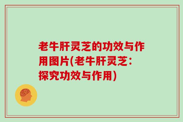 老牛肝灵芝的功效与作用图片(老牛肝灵芝:探究功效与作用)