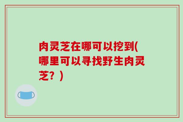 肉灵芝在哪可以挖到(哪里可以寻找野生肉灵芝?)