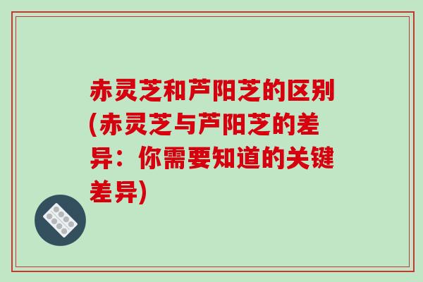 赤灵芝和芦阳芝的区别(赤灵芝与芦阳芝的差异:你需要知道的关键差异)