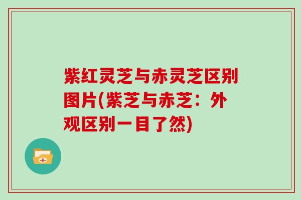 紫红灵芝与赤灵芝区别图片(紫芝与赤芝:外观区别一目了然)