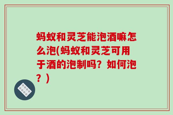 蚂蚁和灵芝能泡酒嘛怎么泡(蚂蚁和灵芝可用于酒的泡制吗?如何泡?)