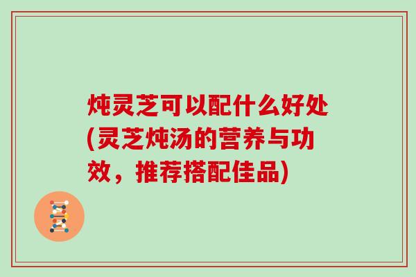 炖灵芝可以配什么好处(灵芝炖汤的营养与功效,推荐搭配佳品)