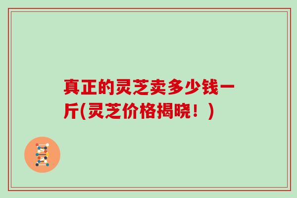 真正的灵芝卖多少钱一斤(灵芝价格揭晓!)