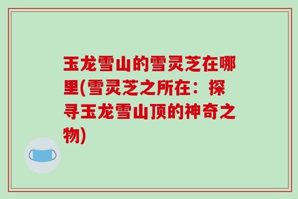 玉龙雪山的雪灵芝在哪里(雪灵芝之所在:探寻玉龙雪山顶的神奇之物)