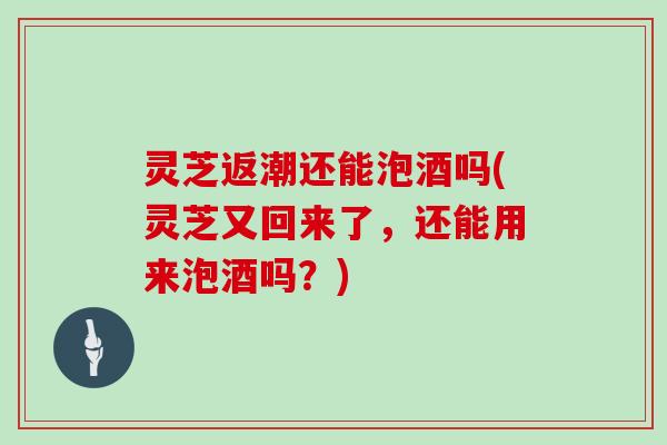 灵芝返潮还能泡酒吗(灵芝又回来了，还能用来泡酒吗？)