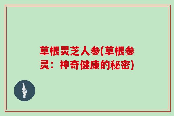 草根灵芝人参(草根参灵:神奇健康的秘密)