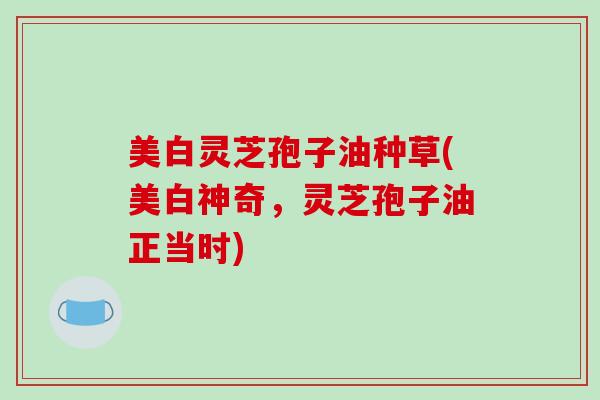 美白灵芝孢子油种草(美白神奇,灵芝孢子油正当时)