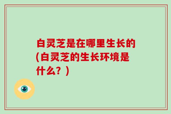 白灵芝是在哪里生长的(白灵芝的生长环境是什么?)