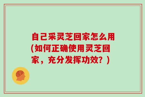 自己采灵芝回家怎么用(如何正确使用灵芝回家，充分发挥功效？)