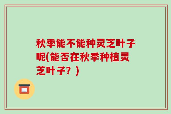 秋季能不能种灵芝叶子呢(能否在秋季种植灵芝叶子?)