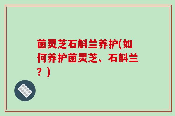 菌灵芝石斛兰养护(如何养护菌灵芝、石斛兰?)