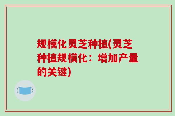 规模化灵芝种植(灵芝种植规模化：增加产量的关键)