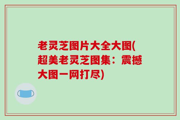 老灵芝图片大全大图(超美老灵芝图集:震撼大图一网打尽)