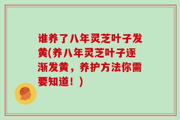 谁养了八年灵芝叶子发黄(养八年灵芝叶子逐渐发黄,养护方法你需要知道!)