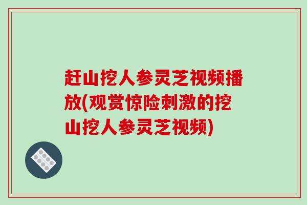 赶山挖人参灵芝视频播放(观赏惊险刺激的挖山挖人参灵芝视频)