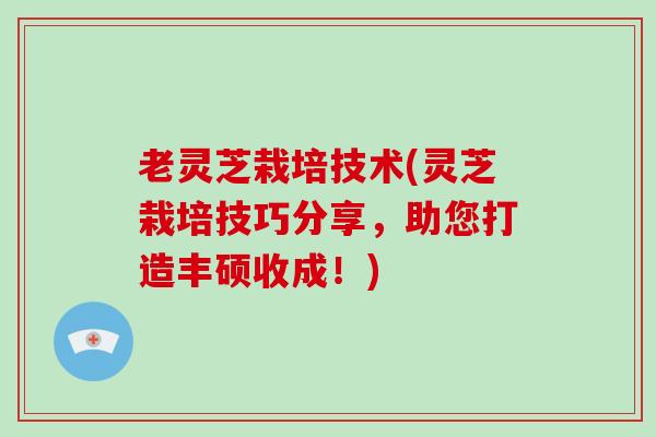 老灵芝栽培技术(灵芝栽培技巧分享，助您打造丰硕收成！)