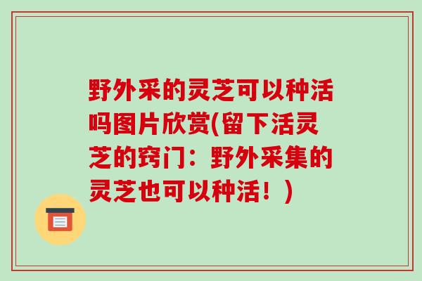 野外采的灵芝可以种活吗图片欣赏(留下活灵芝的窍门:野外采集的灵芝也可以种活!)