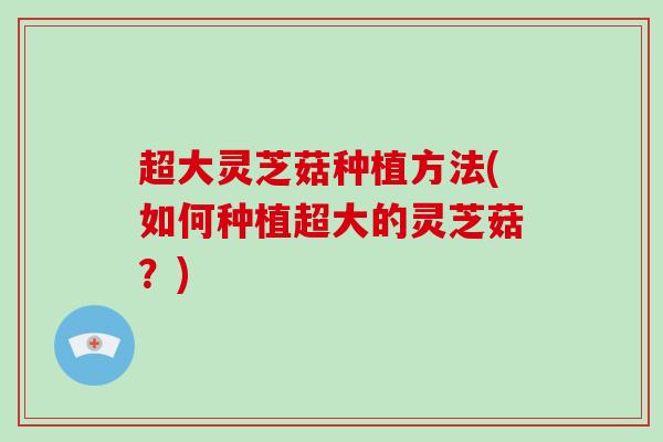 超大灵芝菇种植方法(如何种植超大的灵芝菇?)