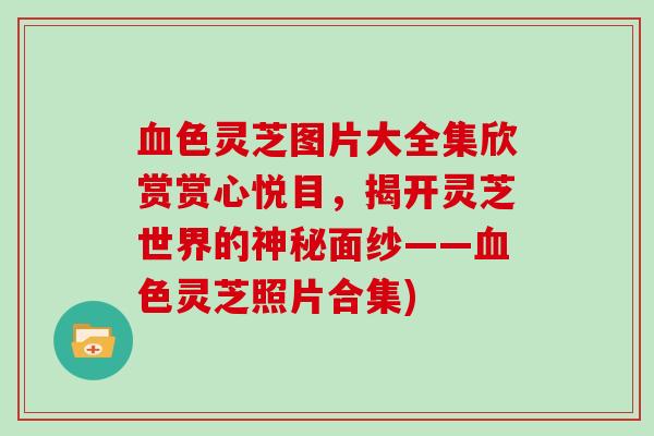 血色灵芝图片大全集欣赏赏心悦目，揭开灵芝世界的神秘面纱——血色灵芝照片合集)