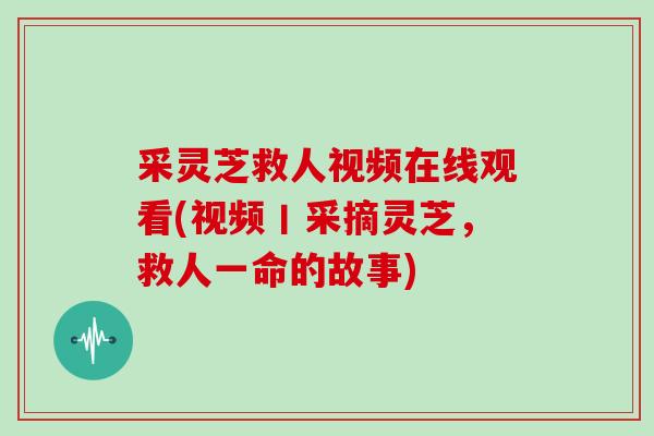采灵芝救人视频在线观看(视频丨采摘灵芝,救人一命的故事)