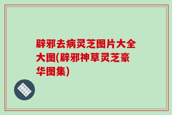 辟邪去病灵芝图片大全大图(辟邪神草灵芝豪华图集)