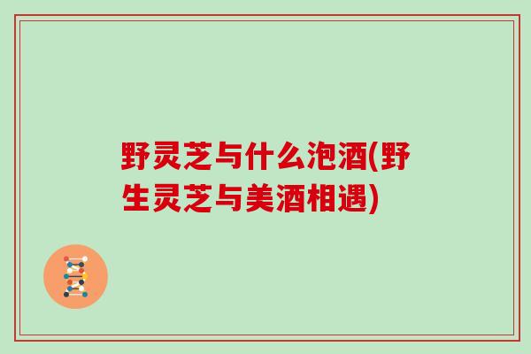 野灵芝与什么泡酒(野生灵芝与美酒相遇)