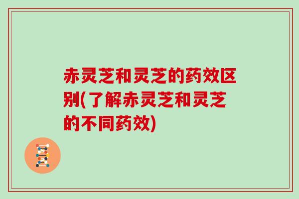 赤灵芝和灵芝的药效区别(了解赤灵芝和灵芝的不同药效)