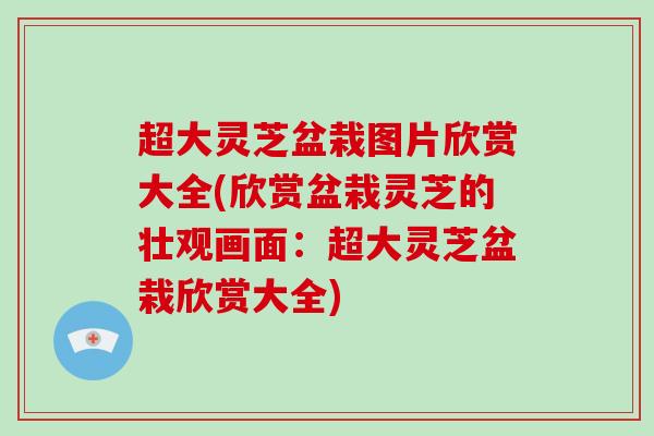 超大灵芝盆栽图片欣赏大全(欣赏盆栽灵芝的壮观画面：超大灵芝盆栽欣赏大全)
