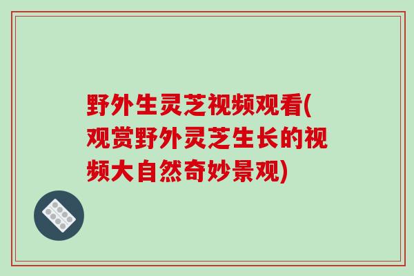 野外生灵芝视频观看(观赏野外灵芝生长的视频大自然奇妙景观)