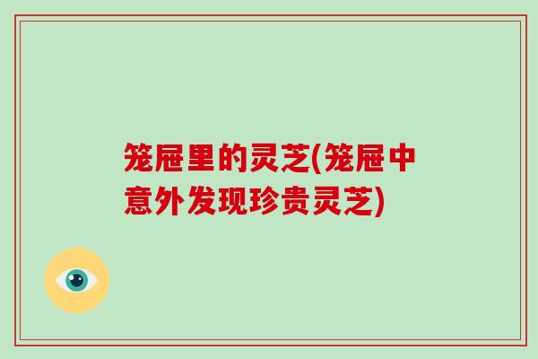 笼屉里的灵芝(笼屉中意外发现珍贵灵芝)