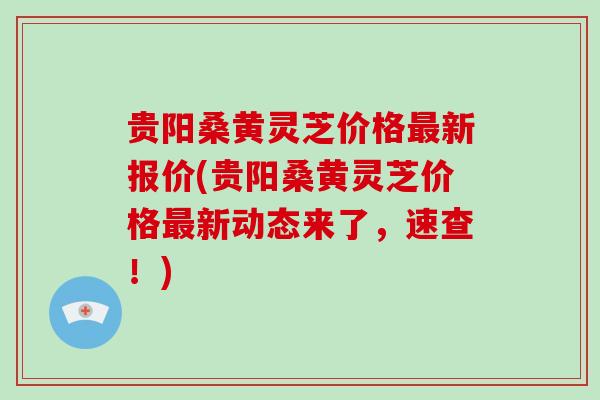 贵阳桑黄灵芝价格最新报价(贵阳桑黄灵芝价格最新动态来了，速查！)