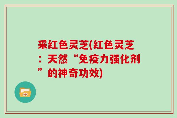 采红色灵芝(红色灵芝:天然“免疫力强化剂”的神奇功效)