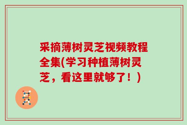 采摘薄树灵芝视频教程全集(学习种植薄树灵芝,看这里就够了!)