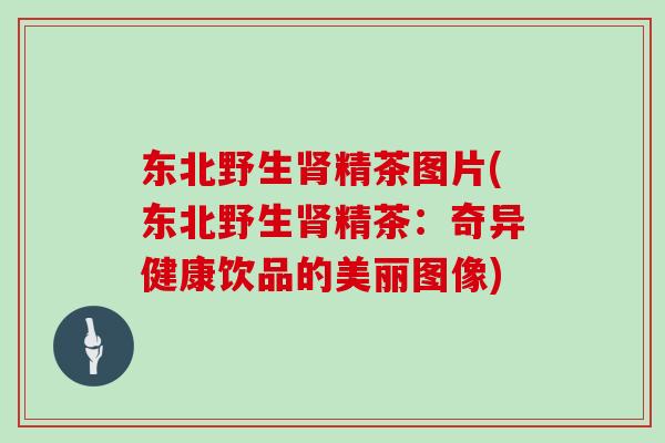 东北野生肾精茶图片(东北野生肾精茶：奇异健康饮品的美丽图像)