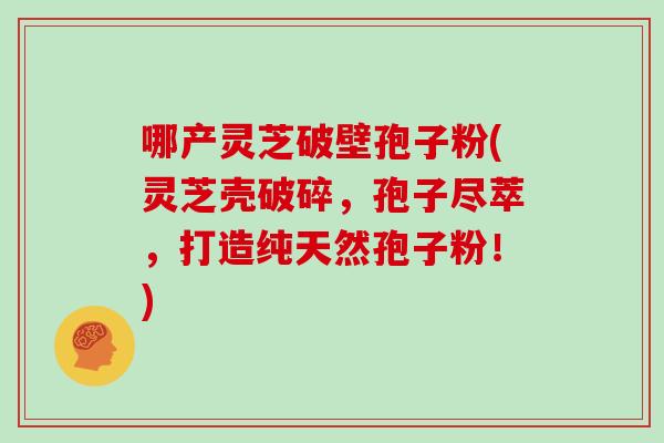 哪产灵芝破壁孢子粉(灵芝壳破碎,孢子尽萃,打造纯天然孢子粉!)