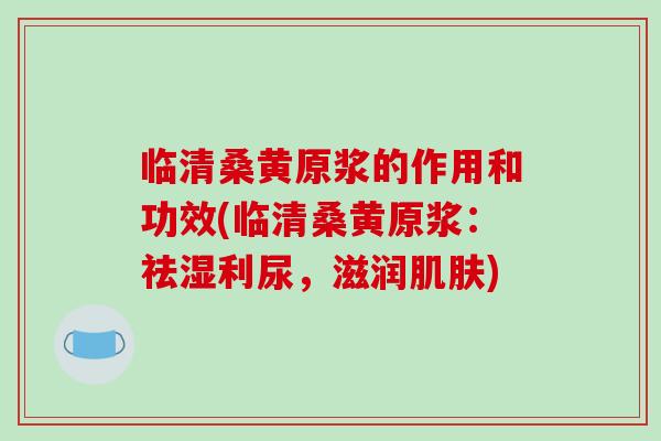 临清桑黄原浆的作用和功效(临清桑黄原浆:祛湿利尿,滋润肌肤)