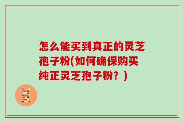 怎么能买到真正的灵芝孢子粉(如何确保购买纯正灵芝孢子粉?)