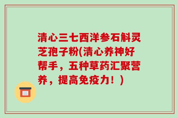 清心三七西洋参石斛灵芝孢子粉(清心养神好帮手，五种草药汇聚营养，提高免疫力！)
