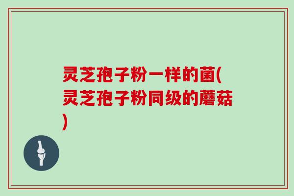 灵芝孢子粉一样的菌(灵芝孢子粉同级的蘑菇)