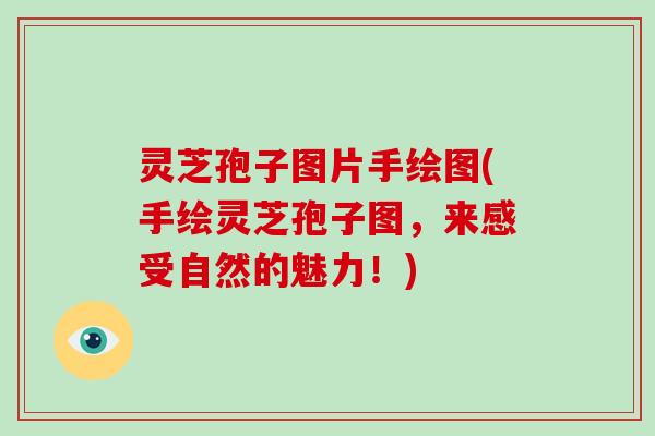 灵芝孢子图片手绘图(手绘灵芝孢子图,来感受自然的魅力!)
