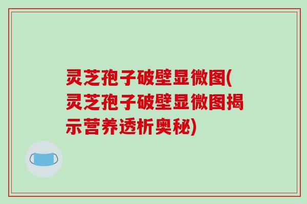 灵芝孢子破壁显微图(灵芝孢子破壁显微图揭示营养透析奥秘)