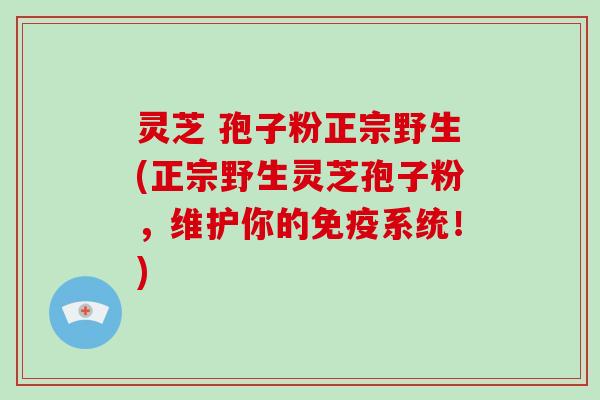 灵芝 孢子粉正宗野生(正宗野生灵芝孢子粉,维护你的免疫系统!)