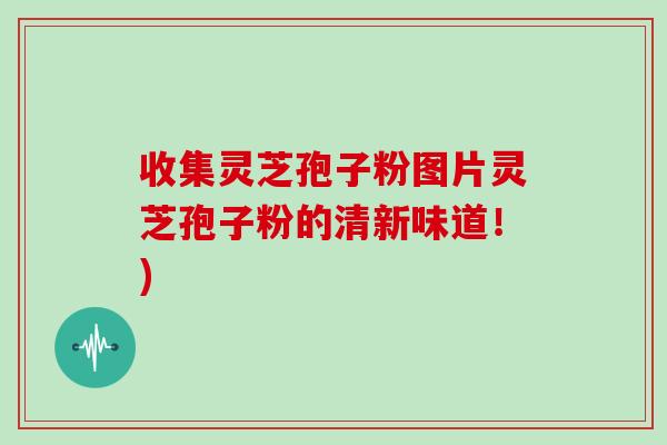 收集灵芝孢子粉图片灵芝孢子粉的清新味道!)