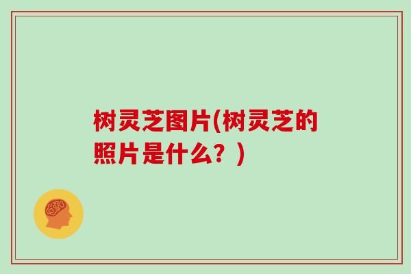 树灵芝图片(树灵芝的照片是什么？)