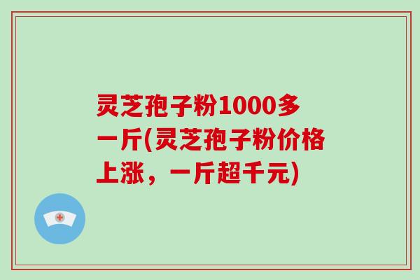 灵芝孢子粉1000多一斤(灵芝孢子粉价格上涨,一斤超千元)
